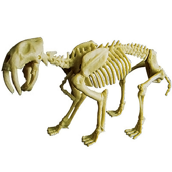 Dinosaur Fossil Excavation Kit Dig your Own Smilodon Skeleton