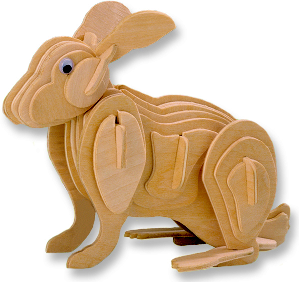 cat and rabbit weight 10kg puzzle