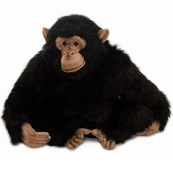 chimp cuddly toy