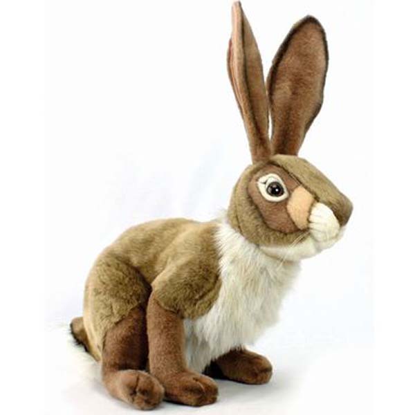 hansa jack rabbit
