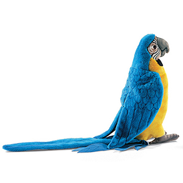 Blue And Gold Macaw Toys 36