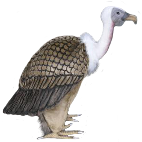 Vulture toy deals