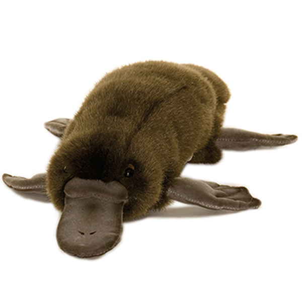 duck billed platypus cuddly toy