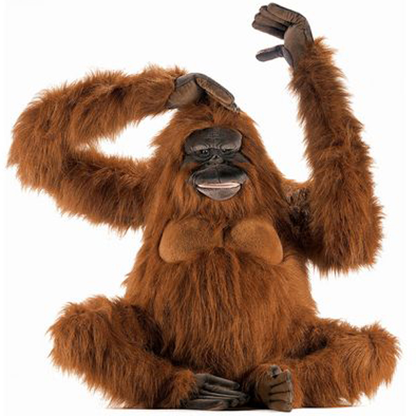 cuddly toy orangutan
