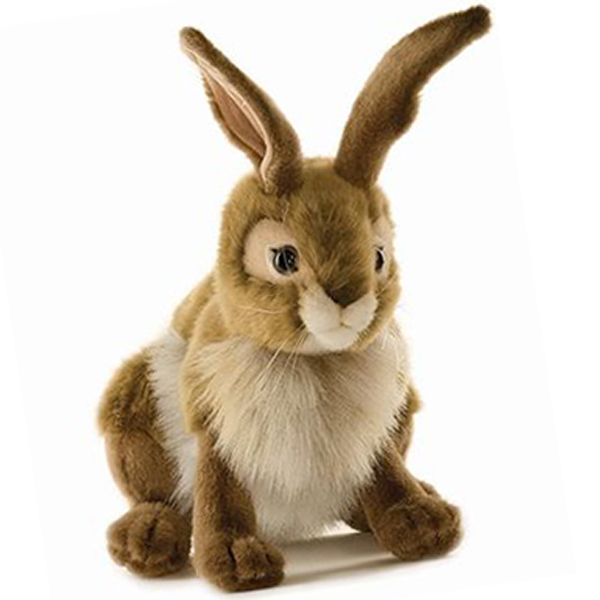 hansa rabbit