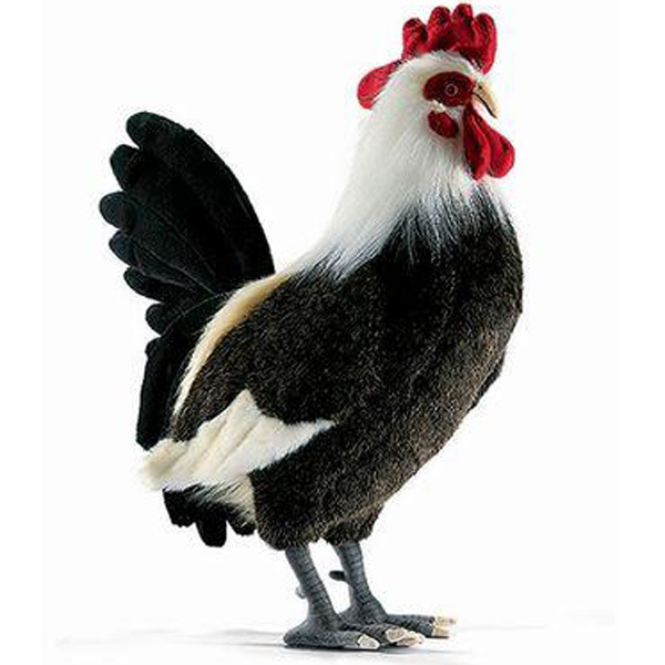 hansa rooster