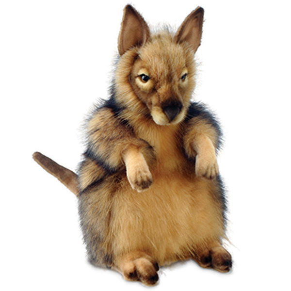 hansa kangaroo