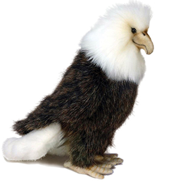 hansa birds