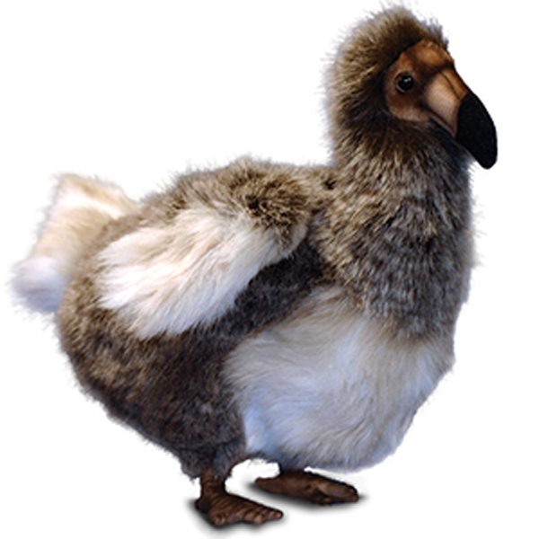 dodo stuffed toy