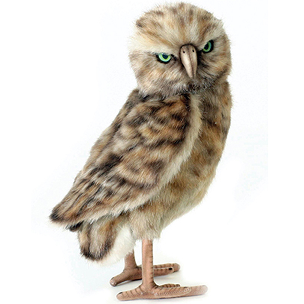 Burrowing Owl Toy Reproduction By Hansa 11 Tall Affordable Gift Burrowing Owl Toy Reproduction By Hansa 11 Tall Affordable Gift For Your Little One Item Dhan 5203